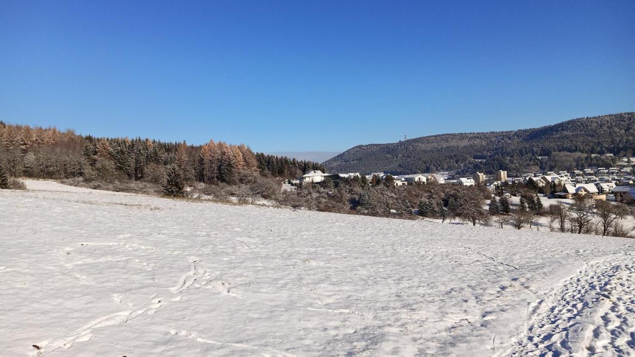 Апартаменти Fewo Mit Tollem Ausblick Auf Der Schwaebischen Alb. Wehingen Екстер'єр фото